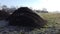 Steaming pile of manure on farm field in the winter