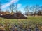 Steaming pile of manure on farm field in the winter