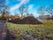 Steaming pile of manure on farm field in the winter