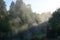 A steaming thermal river in the Taupo region of New Zealand