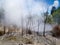 Steaming volcanic hot spring in Rotorua, N Zealand