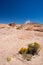 Steaming volcano on the Bolivian Andes