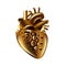 Steampunk human heart vector