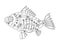 Steampunk style fish coloring book vector