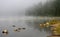 Steamy lake and misty forest