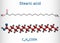 Stearic acid,  octadecanoic, saturated fatty acid molecule. Structural chemical formula and molecule model