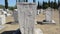 Stecak, monumental medieval tombstones. UNESCO World Heritage Site. Stecci, Radimlja, Stolac, Bosnia and Herzegovina