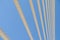 Steel Bridge Cables On Sky