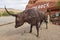 Steel bull. Museum Wild West