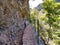 A steel cable safety fence protects tourists and hikers from a steep drop on a lavada walking trail near Monte in Madeira