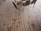 Steel Chairs in an Abandoned Floor