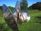 Steel cultivator sculpture by Thomas Schoenauer reflects the sun light