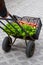 Steel folding luggage trolley with a box crate of vegetables like carrots, lettuce and salad. Veggie market shopping