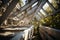 Steel framework on flat roof showcasing sturdy construction under open sky, construction and engineering image