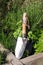 Steel garden trowel in herb garden