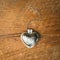 Steel Heart shape for valentine
