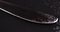 a steel knife covered with water droplets on black paper