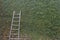 Steel ladder on green leaf ivy plant covered stone fence wall