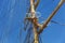 Steel masts of a sailing ship with the lowered sails.