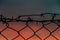 Steel mesh barbed wire fence sunset