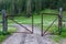 Steel mesh fence gate forest
