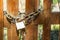 Steel padlock and rusty chain