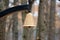 Steel painted bell hanging in a forest