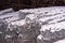 Steel, painted, fence mesh in rolls, partially covered with snow .