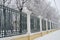 steel park fence powdered with frost taken from persperkivoy