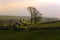 Steel Rigg, Hadrians Wall