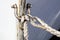 Steel rope and rusty hook on the back side of the sailing boat. Flag of Greece and historical castle on the background