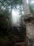 Steel stairs climbing cliffs for travelers thai people walking trail or hiking in forest jungle on mountain with mist fog while