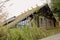 Steel-structured building with pitched and thatched roof in weeds