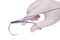 Steel surgical forceps holding a suture needle