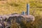 Steel thermos with a cup on a stone in the forest on the lawn