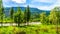 Steel Truss Railway Bridge over the Nicola River