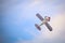 Steen Skybolt aerobatic airplane performing a demonstration flight at Timisoara Airshow, Romania