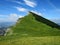 Steep alpine meadow on Les Trois Becs