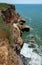 Steep clayey and shell rock shore overgrown with wild steppe vegetation on the island of Berezan, Ukraine