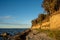 Steep coast at the black bush on the island of Poel on the Baltic Sea, Germany