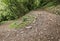 Steep curved forest stony road