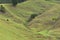 Steep green slopes of paddock