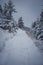 Steep hiking trail leading up a snowy hill