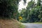 Steep Incline Warning Sign On A Country Bush Road