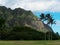 Steep Mountain and palm trees