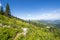 Steep mountain views from the summit of Mt Spokane State Park overlooking the Spokane Washington area on a summer day