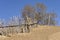 Steep path with wooden fence against a blue sky, Inner Mongolia, Hebei, Mulan Weichang, China, Asia