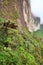 The steep rock wall of Monte Roraima