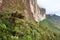 The steep rock wall of Monte Roraima