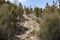 Steep rocky climb on a hill surrounded by bushes under a sunny blue sky